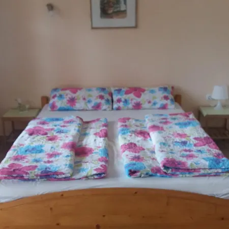 Remser Haus * Zalakaros