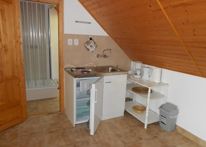 Remser Haus Appartement *